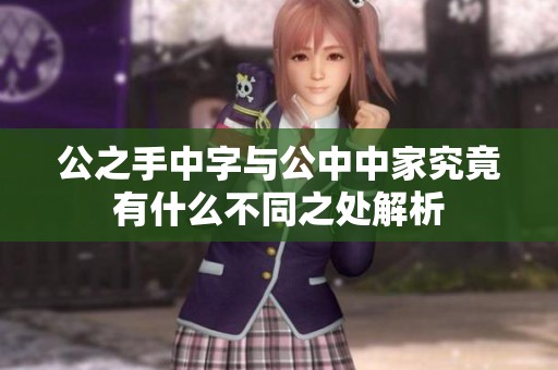 公之手中字与公中中家究竟有什么不同之处解析