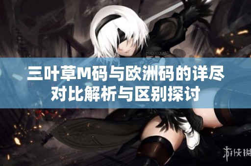 三叶草M码与欧洲码的详尽对比解析与区别探讨