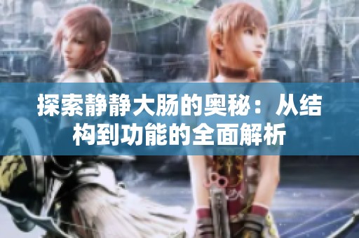 探索静静大肠的奥秘：从结构到功能的全面解析