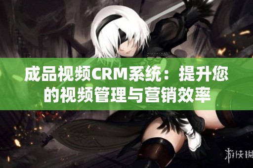 成品视频CRM系统：提升您的视频管理与营销效率