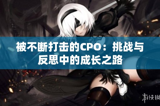被不断打击的CPO：挑战与反思中的成长之路