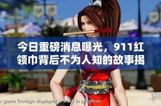 今日重磅消息曝光，911红领巾背后不为人知的故事揭秘
