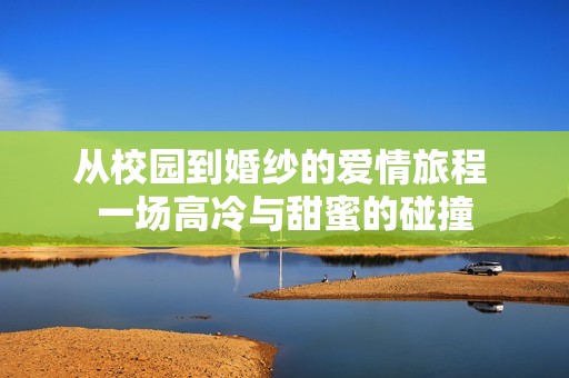 从校园到婚纱的爱情旅程 一场高冷与甜蜜的碰撞