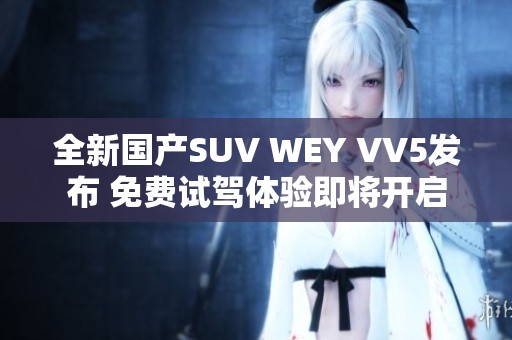 全新国产SUV WEY VV5发布 免费试驾体验即将开启