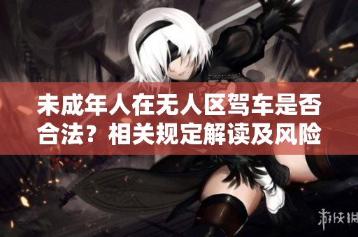 未成年人在无人区驾车是否合法？相关规定解读及风险分析