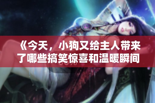 《今天，小狗又给主人带来了哪些搞笑惊喜和温暖瞬间》