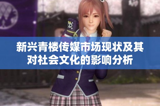 新兴青楼传媒市场现状及其对社会文化的影响分析
