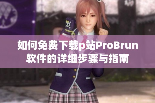 如何免费下载p站ProBrun软件的详细步骤与指南