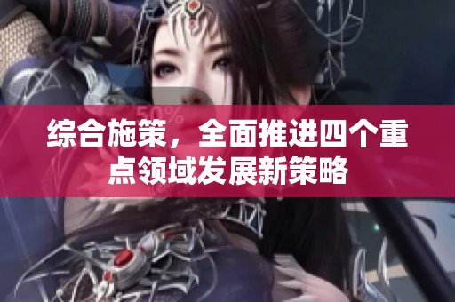 综合施策，全面推进四个重点领域发展新策略