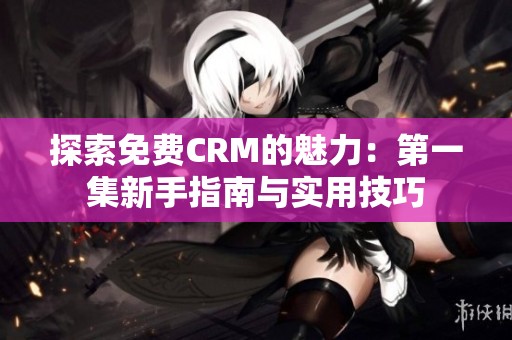 探索免费CRM的魅力：第一集新手指南与实用技巧