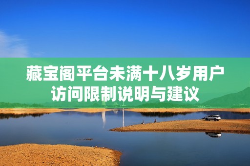 藏宝阁平台未满十八岁用户访问限制说明与建议