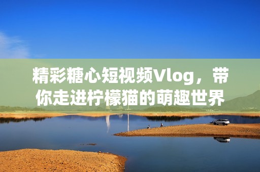 精彩糖心短视频Vlog，带你走进柠檬猫的萌趣世界