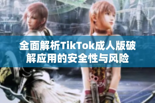 全面解析TikTok成人版破解应用的安全性与风险