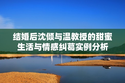 结婚后沈倾与温教授的甜蜜生活与情感纠葛实例分析