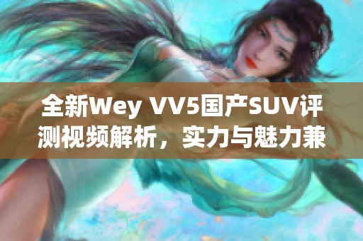 全新Wey VV5国产SUV评测视频解析，实力与魅力兼具