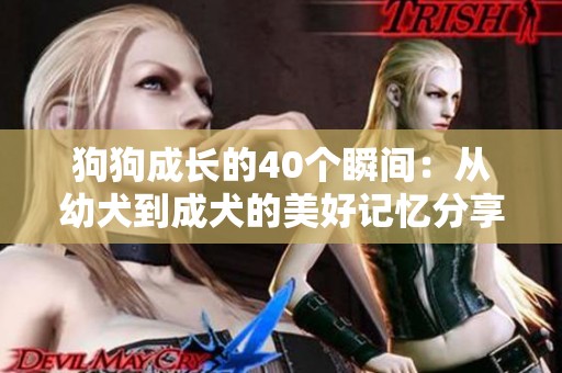 狗狗成长的40个瞬间：从幼犬到成犬的美好记忆分享