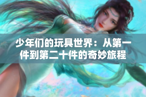 少年们的玩具世界：从第一件到第二十件的奇妙旅程