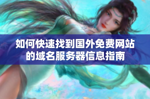 如何快速找到国外免费网站的域名服务器信息指南