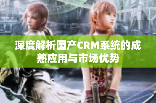 深度解析国产CRM系统的成熟应用与市场优势