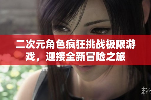 二次元角色疯狂挑战极限游戏，迎接全新冒险之旅