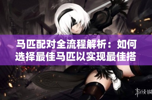 马匹配对全流程解析：如何选择最佳马匹以实现最佳搭配效果