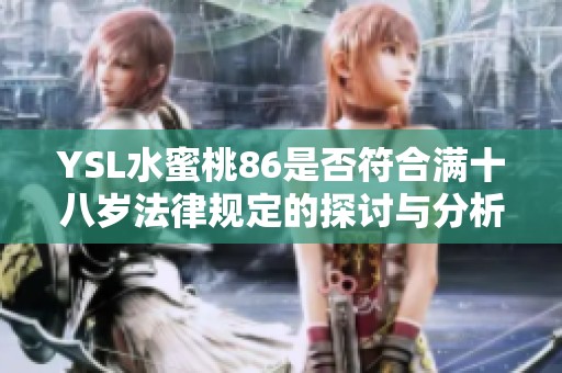 YSL水蜜桃86是否符合满十八岁法律规定的探讨与分析