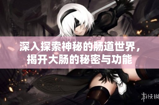 深入探索神秘的肠道世界，揭开大肠的秘密与功能