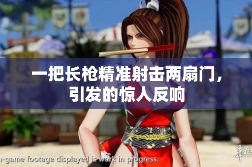 一把长枪精准射击两扇门，引发的惊人反响