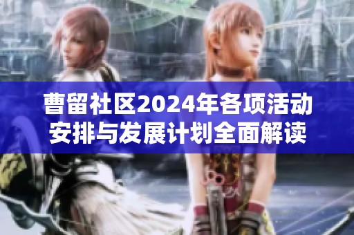 曹留社区2024年各项活动安排与发展计划全面解读