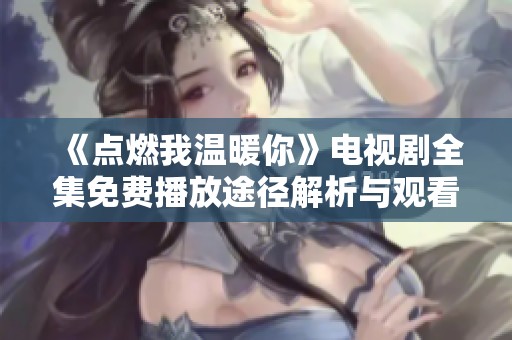 《点燃我温暖你》电视剧全集免费播放途径解析与观看指南
