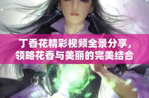 丁香花精彩视频全景分享，领略花香与美丽的完美结合