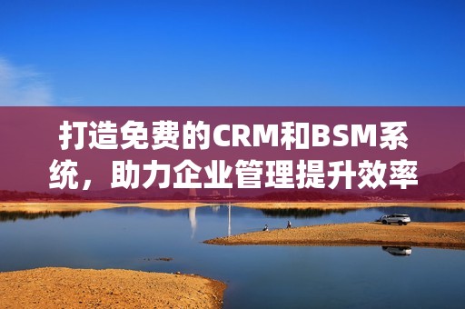 打造免费的CRM和BSM系统，助力企业管理提升效率