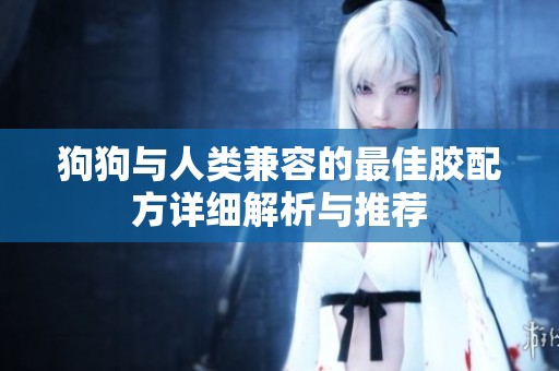狗狗与人类兼容的最佳胶配方详细解析与推荐