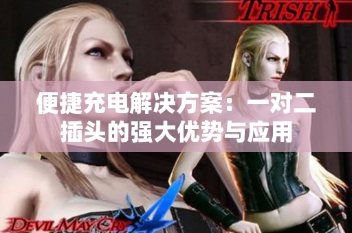 便捷充电解决方案：一对二插头的强大优势与应用