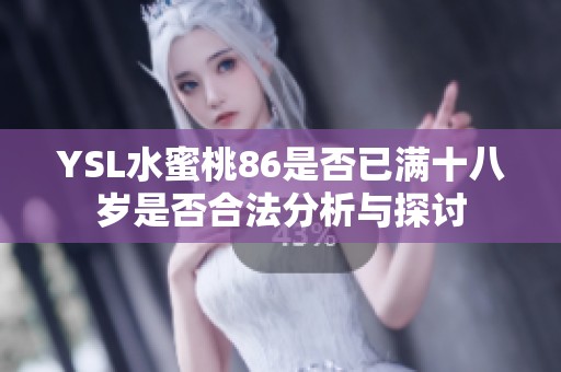 YSL水蜜桃86是否已满十八岁是否合法分析与探讨