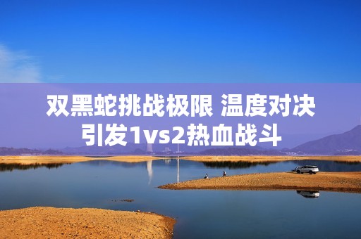 双黑蛇挑战极限 温度对决引发1vs2热血战斗