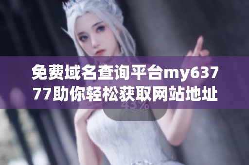 免费域名查询平台my63777助你轻松获取网站地址