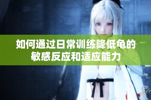 如何通过日常训练降低龟的敏感反应和适应能力