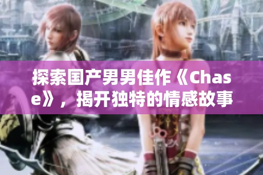 探索国产男男佳作《Chase》，揭开独特的情感故事与魅力
