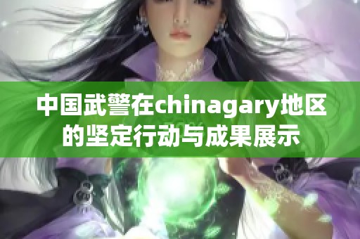 中国武警在chinagary地区的坚定行动与成果展示