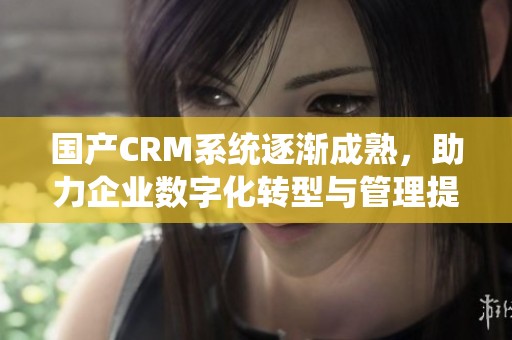 国产CRM系统逐渐成熟，助力企业数字化转型与管理提升