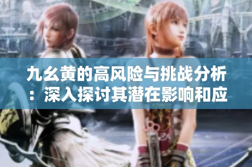 九幺黄的高风险与挑战分析：深入探讨其潜在影响和应对策略