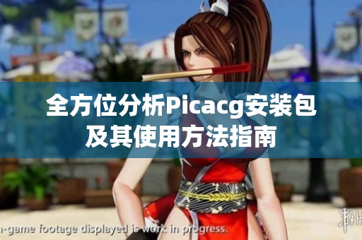 全方位分析Picacg安装包及其使用方法指南