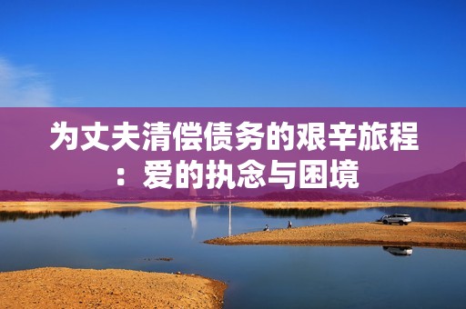 为丈夫清偿债务的艰辛旅程：爱的执念与困境