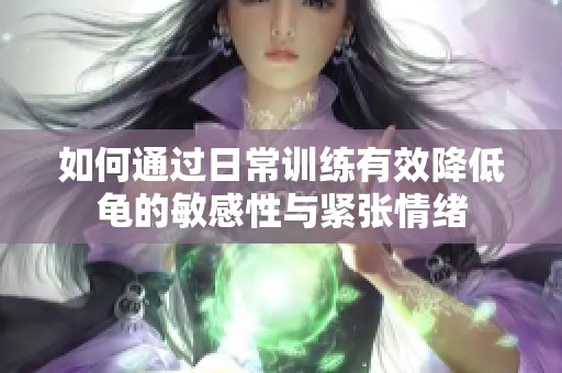 如何通过日常训练有效降低龟的敏感性与紧张情绪
