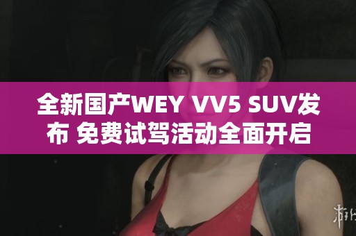 全新国产WEY VV5 SUV发布 免费试驾活动全面开启