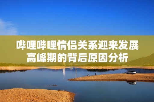 哔哩哔哩情侣关系迎来发展高峰期的背后原因分析