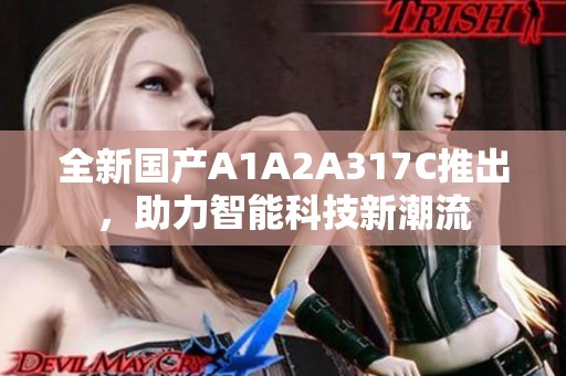 全新国产A1A2A317C推出，助力智能科技新潮流