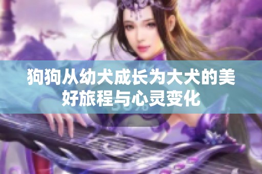 狗狗从幼犬成长为大犬的美好旅程与心灵变化