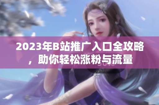 2023年B站推广入口全攻略，助你轻松涨粉与流量